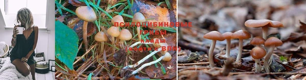 меф Лихославль
