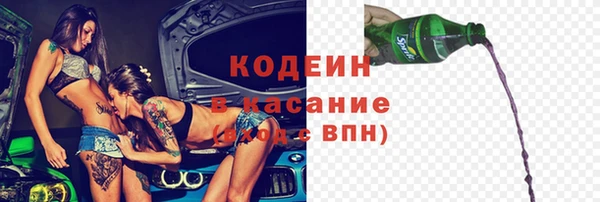 гидра Тайга