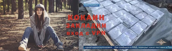 гидра Тайга