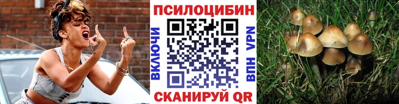Псилоцибиновые грибы прущие грибы Егорьевск
