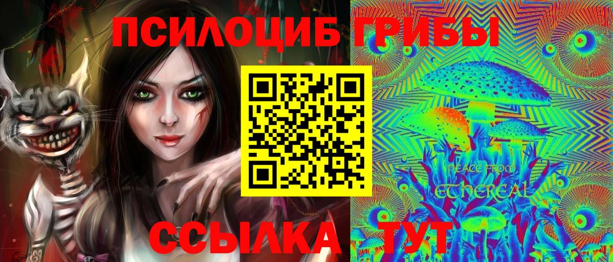 Псилоцибиновые грибы Psilocybe Егорьевск