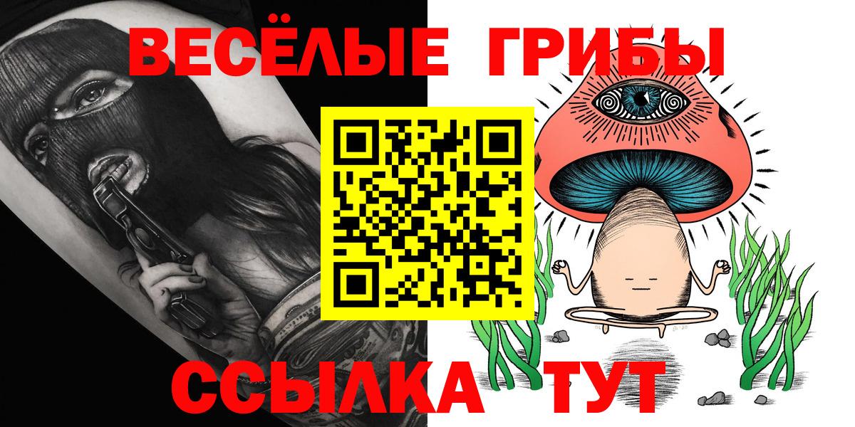 Галлюциногенные грибы мухоморы  Вход с VPN  Егорьевск 