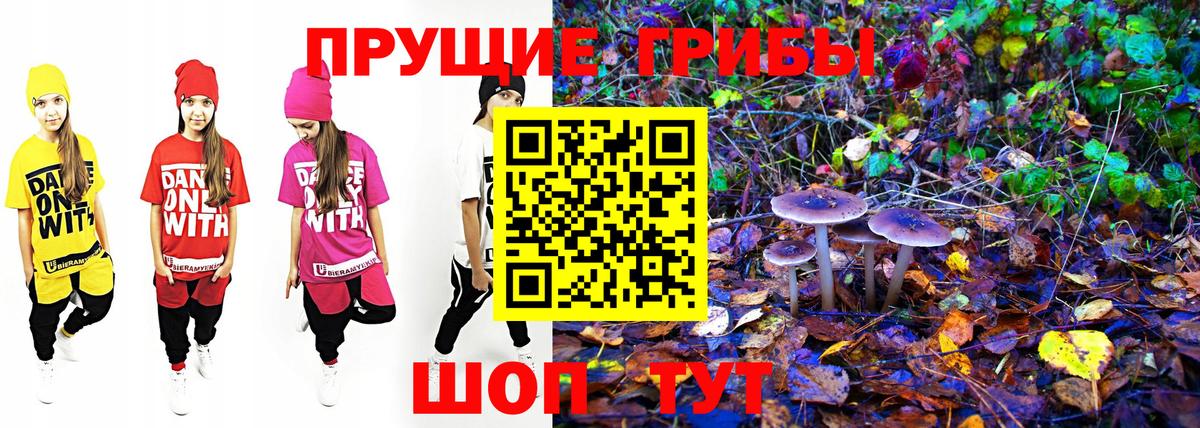 Псилоцибиновые грибы мухоморы  Галлюциногенные грибы Cubensis  Егорьевск 