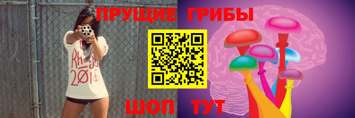 Псилоцибиновые грибы Cubensis Егорьевск